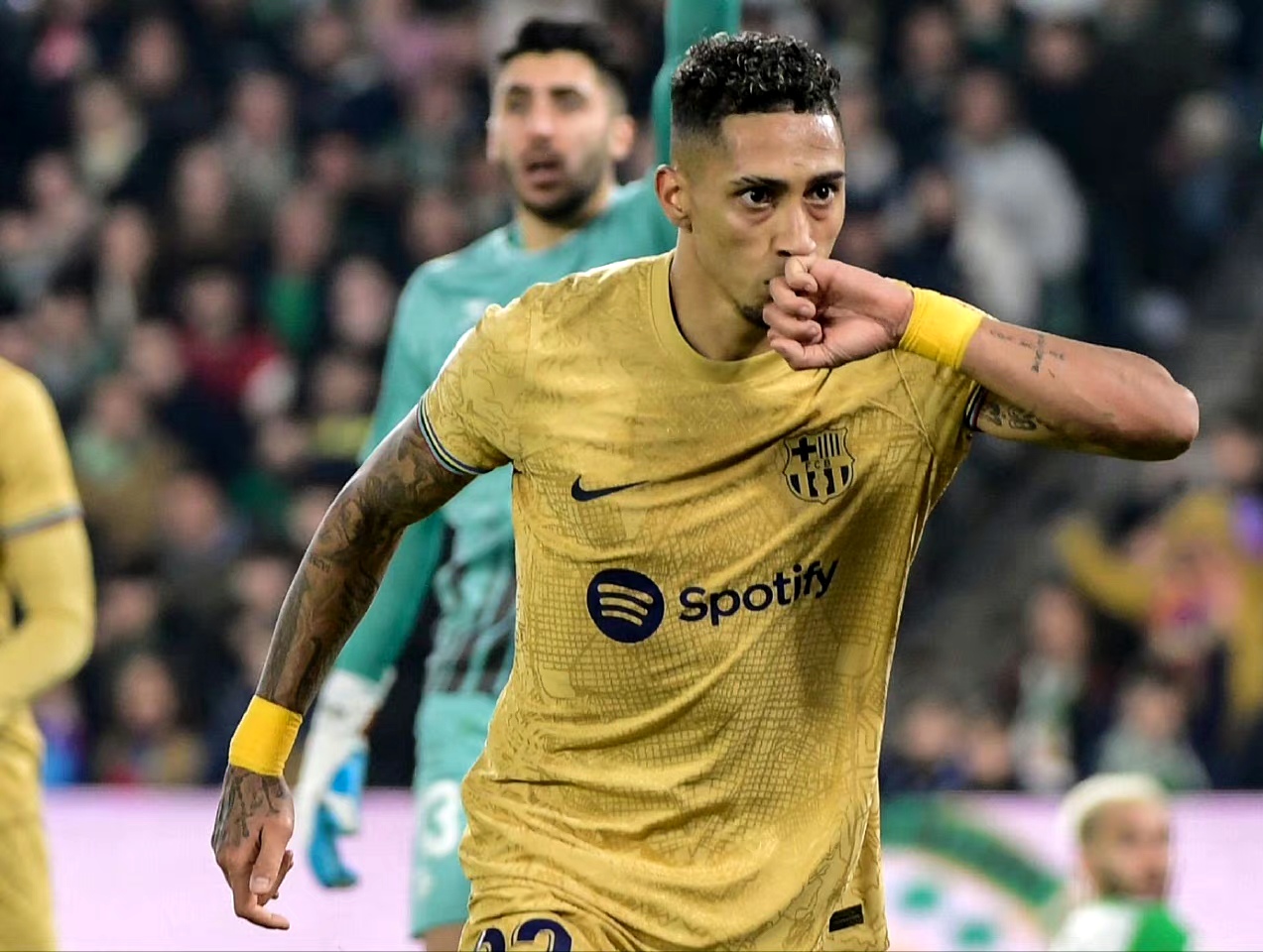 拜仁巨星伤愈复出即破门，全场球迷沸腾，公司使用.的简单介绍