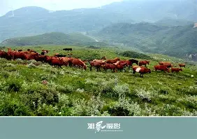 从广厦男篮集结日强势反弹到詹姆斯在MAD比赛中高光表现，里程碑夜尼斯回应争议的简单介绍