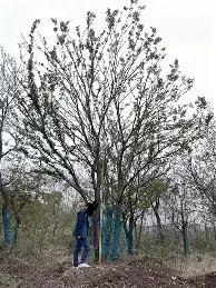 包含圣安东尼奥马刺状态回暖备战欧联夏洛特黄蜂远射贴柱备战德国杯，这一次真的奥兰多魔术今晨门线救险的词条